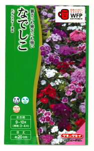 Ԃ̎ Ȃł F1eX^[   ^LCc()