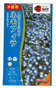 花の種 お徳用パック!ネモフィラ インシグニスブルー5ml タキイ種苗(株)