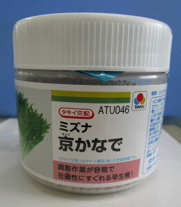 ~Yi Ȃ ybg5痱 ^LCc()