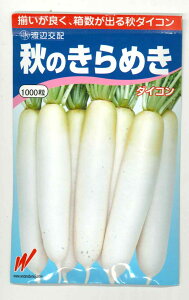 卪 Ĥ߂ 1000 nӔ_()