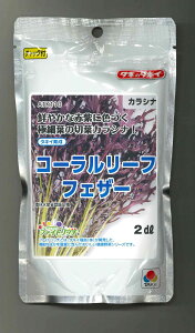 炵 R[[ttFU[2dl ^LCc()