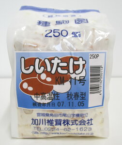 ̂ KM-11iHt^j@250őij