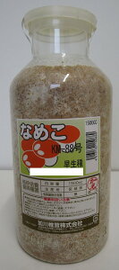 Ȃ߂ہ@KM-88@ہiIKNYj@1500cc@őij