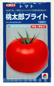 ʃg}g YuCg 1000 ^LCcij