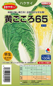  65 ybg100 ^LCc()DF