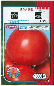 ʃg}g  1000 ()TJ^̃^l