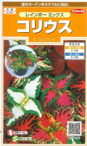 Ԃ̎ REX C{[~bNX 75 ()TJ^̃^l i026332j