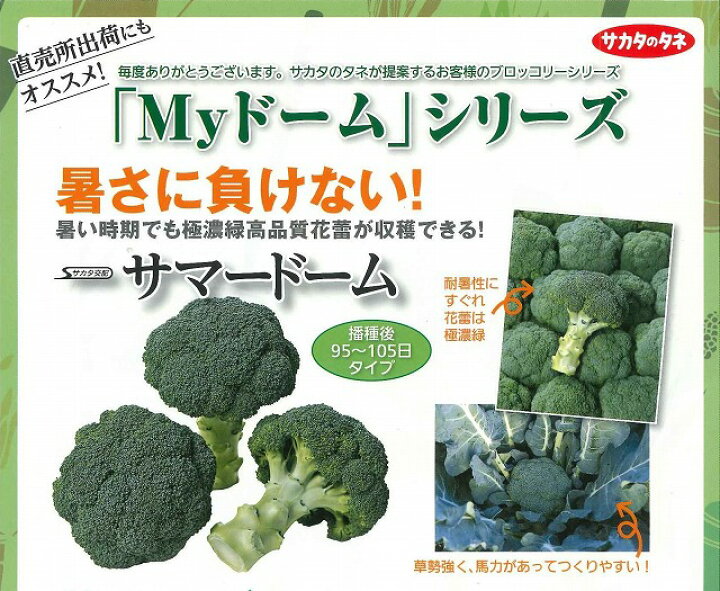 楽天市場 ブロッコリーサマードーム 00粒 サカタ交配 グリーンロフトネモト