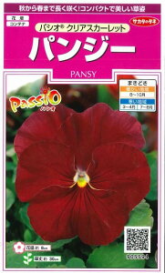 花の種 パンジー パシオ クリアスカーレット 約34粒 (株)サカタのタネ 実咲(026135)