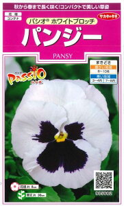 Ԃ̎ pW[ pVI zCgub` 34 ()TJ^̃^l i026143j