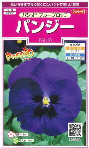 Ԃ̎ pW[ pVI u[ub` 34 ()TJ^̃^l i026142j