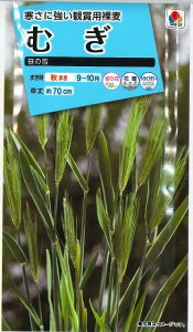 Ԃ̎ ނ ̐ 8ml ^LCc()