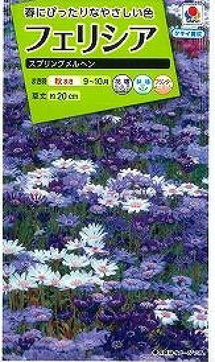 楽天市場 花の種 フェリシア スプリングメルヘン 0 4ml タキイ交配 グリーンロフトネモト