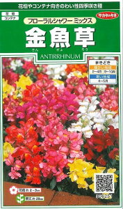 Ԃ̎  t[V[~bNX 86 ()TJ^̃^l i026223j