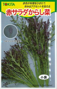 炵؁@ ԃT_炵 10ml gL^c()