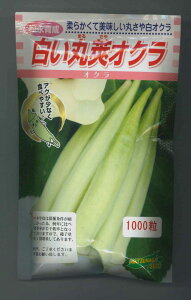 エメラルド  【レギュラー (R)】 1万粒 ( 👠 野菜の種 )