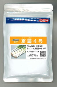 ˂ Đ4 1dl(q) ()TJ^̃^l