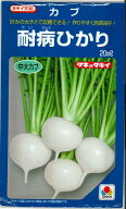 かぶ 耐病ひかり 20ml タキイ種苗(株) [種子/野菜]