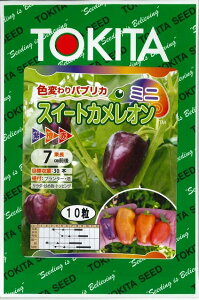 s[} ~jpvJ XC[gJI 10 gL^cij