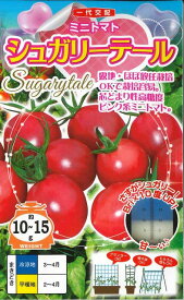 トマト　ミニトマト シュガリーテール　15粒　ナント種苗