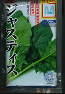 ほうれんそう ジャスティス M3万粒 サカタのタネ [種子/野菜]