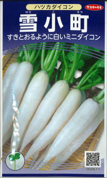 はつか大根 Room 欲しい に出会える はつか大根 Room 欲しい に出会える