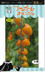 ~jg}g tK[IWF 8 gL^c()