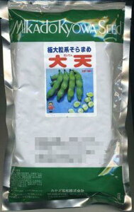 ���瓤 ��V 230�� ���B���������݂��ǁi���j [��q/���]