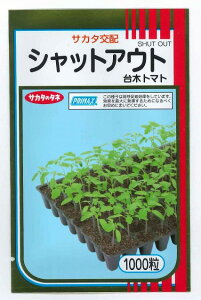  (g}gp)VbgAEg 1000 ()TJ^̃^l