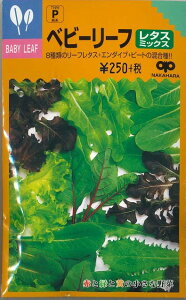 xr[[t^X~bNX@20mli悻8100j̎ij