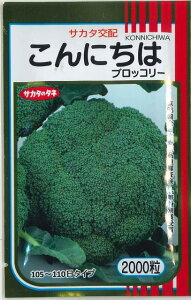 ubR[ ɂ 2000 ()TJ^̃^l