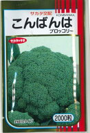 ブロッコリー こんばんは 2000粒 (株)サカタのタネ [種子/野菜]