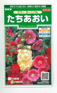 花の種 たちあおい サマーカーニバル 約25粒 (株)サカタのタネ 実咲(026292)