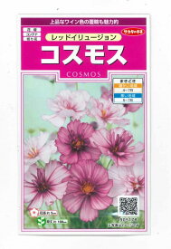 楽天市場 コスモス 花の通販