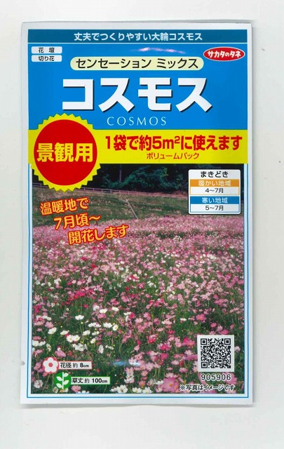 【楽天市場】花の種コスモス センセーションミックス小袋 サカタのタネ : グリーンロフトネモト
