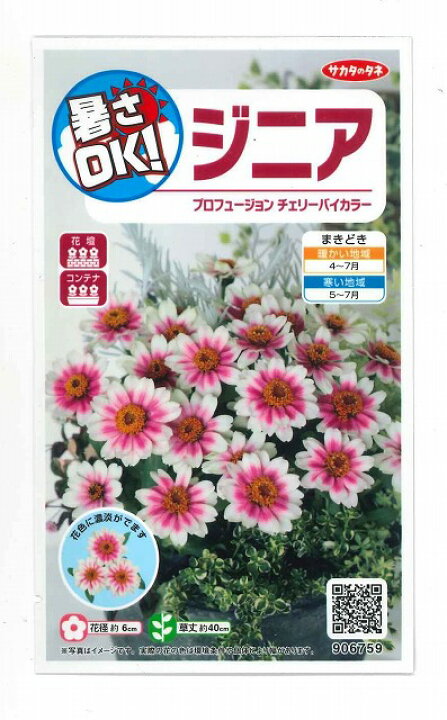 楽天市場 花の種 ジニアプロフュージョン チェリーバイカラー 約10粒サカタのタネ グリーンロフトネモト
