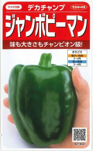 s[} W{s[} fJ`v 40 ()TJ^̃^l 550i002903j