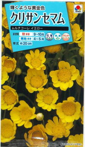 Ԃ̎ NTZ} `R[CG[  ^LCc()