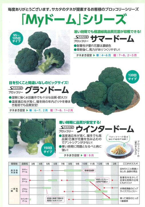 楽天市場】ブロッコリー グランドーム ペレット種子 5000粒 (株)サカタ 