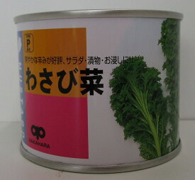 楽天市場 わさび菜 種の通販