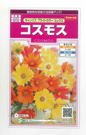花の種 コスモスキャンパス　ブライトカラーミックス約100粒　（株）サカタのタネ　実咲