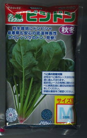 ほうれんそう ピンドン M 3万粒 (株)サカタのタネ