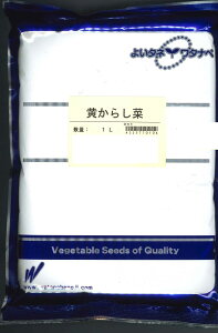 炵 1L nӔ_()