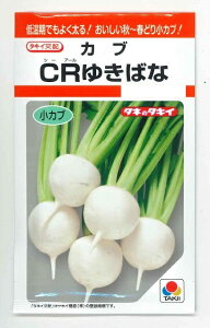  CR䂫΂ 3ml ^LCc()RF