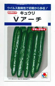 イ VA[` 10 ^LCc()DF