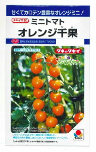 �~�j�g�}�g �I�����W��� 16�� �^�L�C��c(��)DF [��q/���]