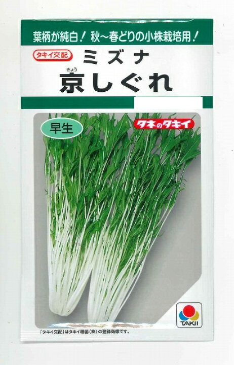 楽天市場 葉物 水菜京しぐれ 5ml タキイ種苗 グリーンロフトネモト