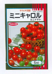 ~jg}g ~jL 5ml ()TJ^̃^l