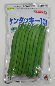 񂰂 P^bL[101 1L ^LCc()