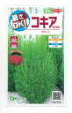 花の種 コキア(ほうき草) グリーン約55粒 (株)サカタのタネ 実咲（026325）
